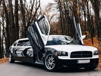 Dodge Charger Limo прокат лимузин черно-белый на свадьбу девичник день рождения