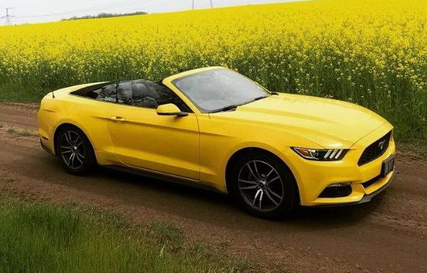 Ford Mustang желтый кабриолет на прокат без водителя съемки