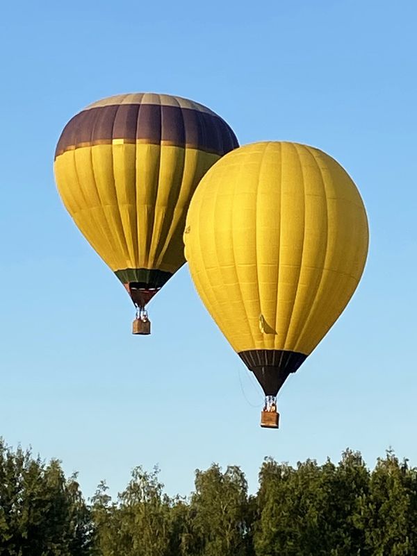 Полет на воздушном шаре Лимон заказать полет на шаре