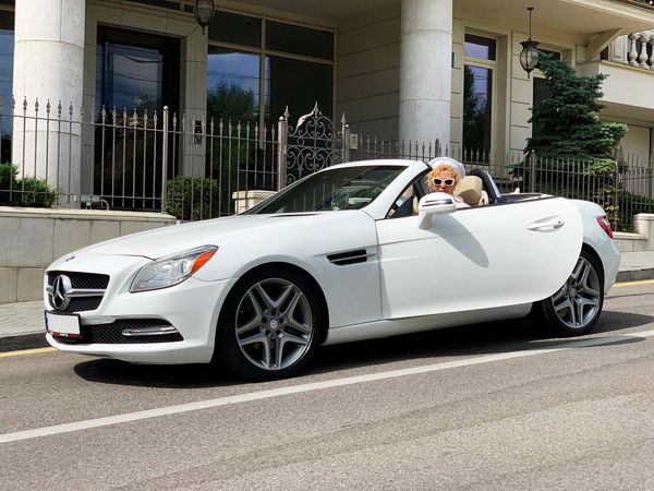 Кабриолет Mercedes SLK 250 белый прокат без водителя для свадьбы фотосессии съемки