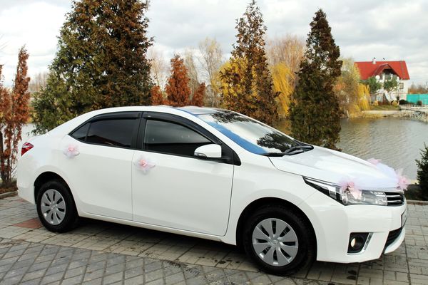 Toyota Corola белая прокат аренда